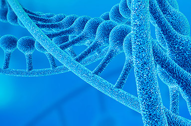 英文網(wǎng)站建設(shè),外貿(mào)網(wǎng)站設(shè)計